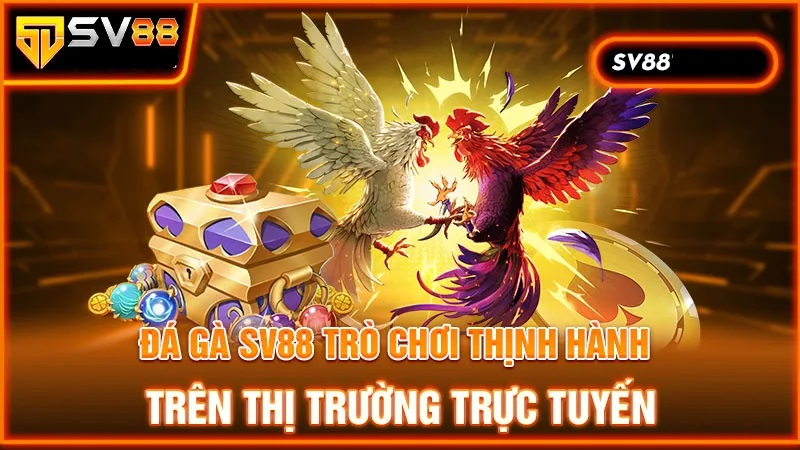 Đá Gà SV88 nổi bật trên thị trường