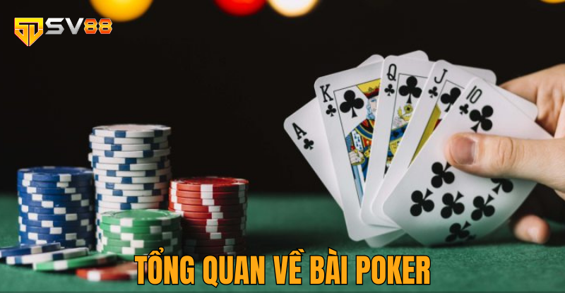 Tổng quan về Pocker trong nền tảng giải trí hiện nay